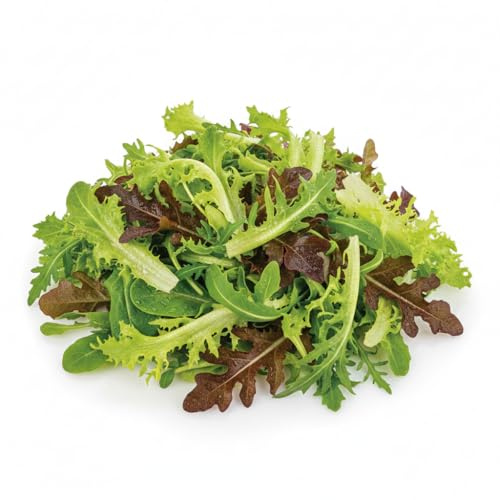 Semi Lattuga da Taglio in Misticanza 6g | Mix Insalate Multivarietà | Semi Alta Germinazione | Raccolto Continuo | Ideali per Orto, Balcone e Vaso | Semi Professionali