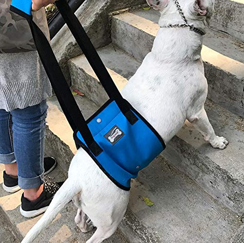 Diyafas Hundelift Harness Tragehilfe Hebehilfe Rehabilitation Geschirr mit Griff für Hunde Verletzungen und Arthritis