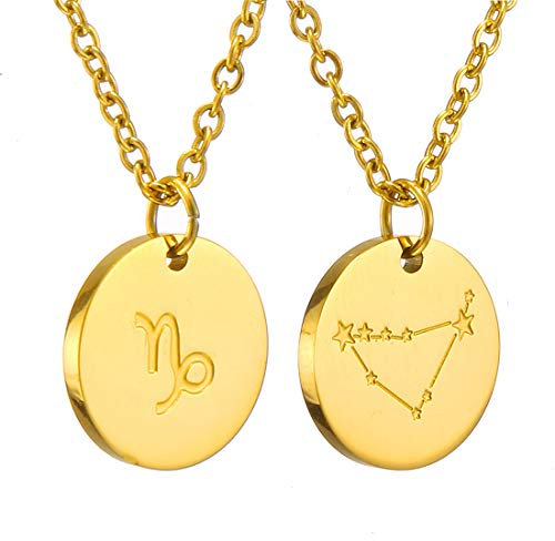AFSTALR Sternzeichen Kette Steinbock Gold für Damen Horoskop Kette Mutter Tochter Freunde Geburtstagsgeschenk