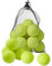 Bramble 30 Tennisbälle für Kinder - Tennisball Hund für Training, Freizeit, Sandplatz - mit Tragetasche