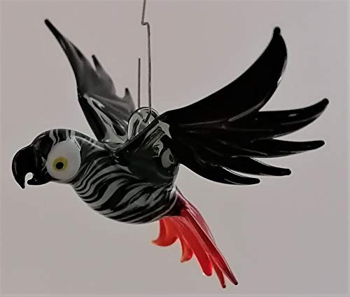 Hängevogel, Graupapagei, Glas