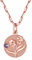 FOCALOOK Damen Geburtsstein Münze Kette Rosegold vergoldet Februar Geburtsblume Veilchen Anhänger Halskette 45+5cm Rolokette Geburtsmonat Modeschmuck für Party Cocktail