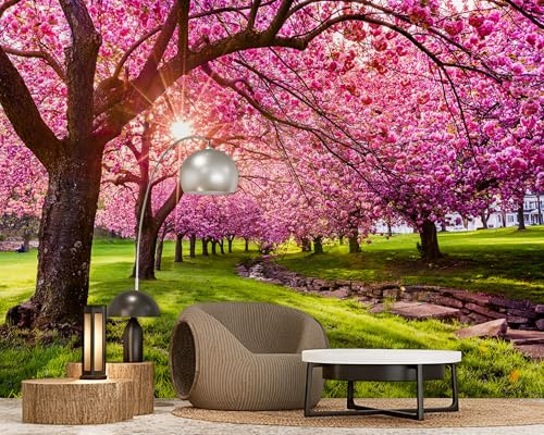 PaxGloz Fototapete Rosa Blüten Baum Tapete Kirschblüten Allee Tapeten Vliestapete Modern Wandtapete Wohnzimmer Schlafzimmer Kinderzimmer Wanddeko Motivtapeten 416 x 254 cm (B x H)