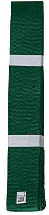 Lisaro kampfsportgürtel Karate Judo Taekwondo Ju Jutsu BJJ Gürtel Gr. 160-300 cm (grün, 280)