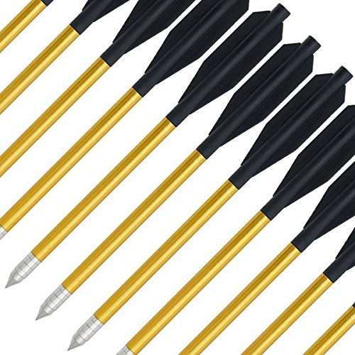 DNA LEISURE 24er Packung Aluminium Pistolen Armbrust Bolzen 16,5 cm Pistolenarmbrust Pfeile mit Stahlspitze