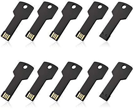 RAOYI 10 Pack 32GB USB Flash Drive USB 2.0 Metal Key Shape Memory Stick Thumb Drive Pen Drive-Black