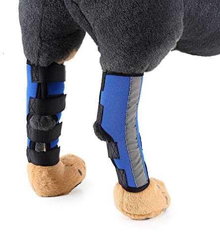 Zunea Dog Canine Rear Leg Brace with Safety Reflective Strap Hind Leg Compression Sleeve Hock Joint Wrap Protector and Extra Supportive for Stability, Wound Injury, Sprain Healing Blue M