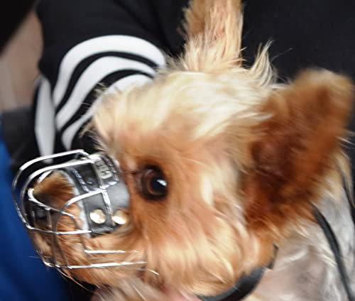 L&J Pets Uk New Wire Basket Dog Muzzle STRONG Metal for Rattler Yorkshire Terrier & other small dogs