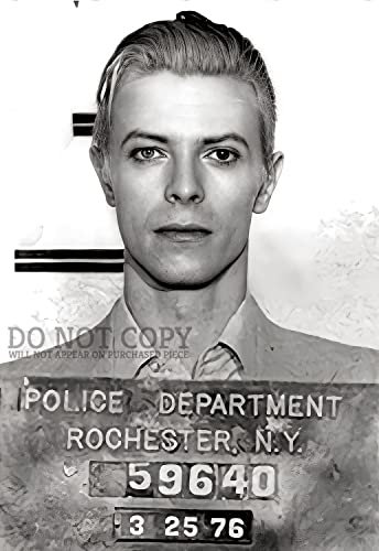 Generic David Bowie Mugshot Photograph 11 X 16 - Rare 1976 Mug Shot Portrait - Thin White Duke - Wall Art Poster Print