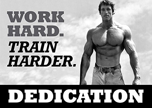 Arnold Schwarzenegger #40 – Motivationsposter A3 – hart arbeiten – härter trainieren – motivierend – Fitnessstudio – Entschlossenheit – Motivation – K...