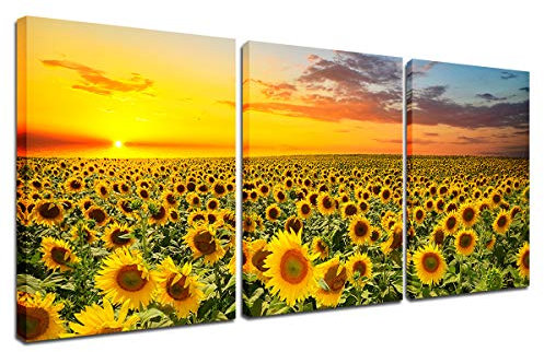 Leinwand-Kunst, Sonnenblumen-Bilder, 3-teilig, Blumen-Landschaft, Gemälde-Set für Zuhause, Wohnzimmer, Küche, Dekoration, Schlafzimmer, Büro, moderne Kunstwerke, Druck, 30.5 x 40.6 cm