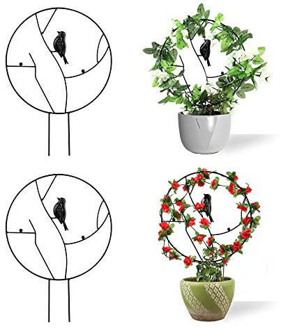 XMRSOY Lot de 2 treillis de 30,5 cm pour petites plantes grimpantes, supports en métal pour plantes en pot d'intérieur, treillis circulaire pour vignes, légumes, fleurs, rose, jasmin, clématite (30,5