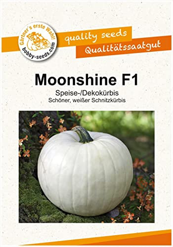 Bobby-Seeds Halloweens Standard Moonshine F1 Portion