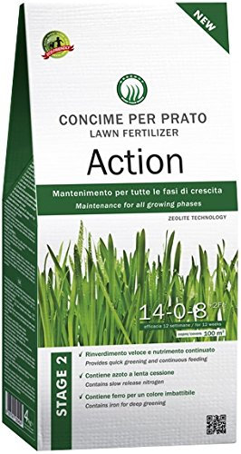 CONCIME PER PRATO ACTION STAGE 2 MANTENITMENTO DEL PRATO 4 KG AMDGarden