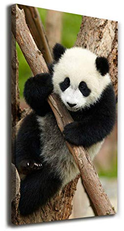 Tulup - Impression sur Toile - 50x100 - Tableaux pour la Mur - Tirages sur toile - Peintures sur Toile - Image sur Toile - prete a Suspendre - Décoration - Animaux - Brun - Panda sur l'arbre