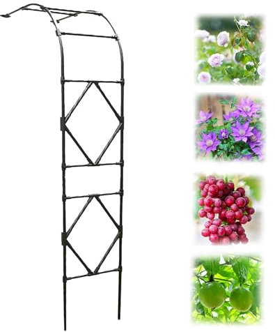 LTSRLL Metall-Halbbogen-Gartenlaube, Torbogen, Rosenbogen, 240 cm Hoch, 60/90/120/150/180/200/220/240 cm Breit, Stark, Stabil, Wetterfest Rankenbogen Rankhilfe(Color:Black,Size:220x240cm/7.2x7.9ft)