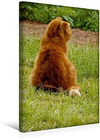 Premium Textil-Leinwand 30 x 45 cm Hoch-Format Kater Felix auf Mäusejagd, Leinwanddruck von Jana Thiem-Eberitsch