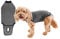 BellyGuard hundebody nach op hündin, op Body Hund kastration rüde, leckschutz für Hunde nach op, Hunde Body Operation hündin