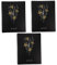 3st Ordner Musik Flip-ordner Blaskapelle Ordner Für Musikordner Ordner Klaviermusik Aktenordnerhalter Ordner in Großen Mengen Musikordner-organizer Binder Pp Schutzfilm A4 Leer