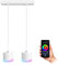 SSC-LUXon VORA Design Hängeleuchte 2-flammig Alexa, Siri & Google kompatibel - Pendellampe hängend inkl. Smart GX53 LEDs RGBW WLAN