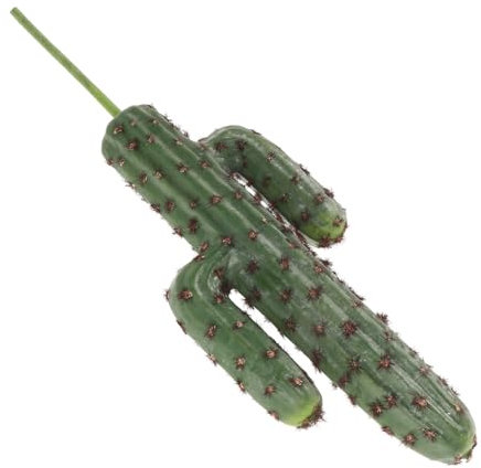 Vaguelly Faux Cactus sans Pot, Ornement De Jardinage, Statue De Modélisation De Cactus