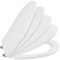 ROSSIGNOL Abattant WC, Cuvette Toilette avec Double Frein de Chute, Lunette WC, Déclipsable en 1 clic, Traitement antibactérien, Easy