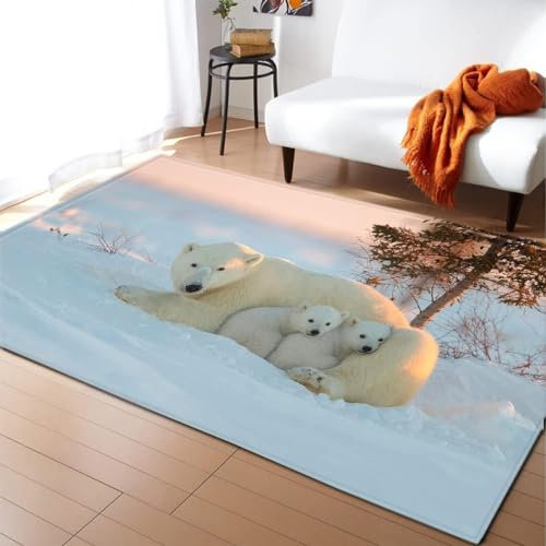 HATEGE Teppich Wohnzimmer 60 x 120 cm Waschbar Eisbär, Outdoor Teppiche Kurzflor 3D Schnee, Carpet Flauschig Eisbär 689AZ