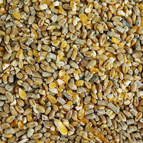 BusyBeaks Chicken Corn Extra | Premium Grade Poultry Feed | Nutritious Oyster Shell, Layers Pellets, Fibre Wheat & Split Maize | High Energy, Protein-Rich Food Mix | Perfect Year-Round Seed (7.5kg)