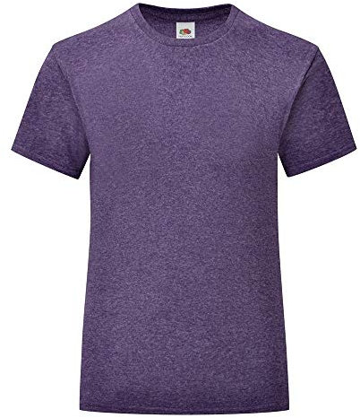 Fruit of the Loom Mens Iconic T-Shirt (3XL) (Heather Purple)