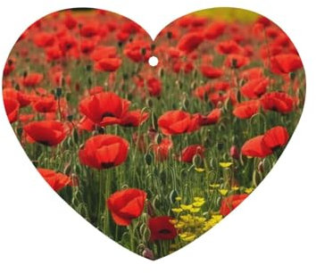 2 Pack Car Air Freshener Red Poppy Field Farm Meadow Landscape Hanging Incense Chips Automotive Scented Hanging Sheets For Car Home Auto Interior Decor