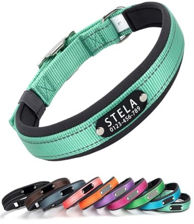 Yonsbox Collare Riflettente Personalizzato per Cani con Targhetta Incisa in Metallo – Collare Regolabile in Nylon Morbido e Resistente, con Cuciture Riflettenti e Chiusura in Lega di Zinco