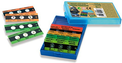 Miniland - mikroskopische Präparate