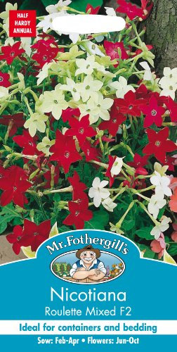 Mr Fothergill's Nicotiana Roulette Mixed F2