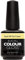 Artistic Color Gloss - Flawless, 50 g