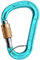 Edelrid Unisex – Erwachsene Karabiner HMS Magnum Screw FG, Icemint, einheitlich
