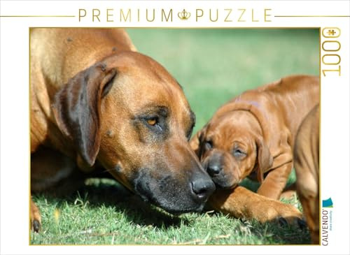 CALVENDO Puzzle EIN Motiv aus dem Kalender Kleine Löwenhunde | 1000 Teile Lege-Größe 64 x 48 cm Foto-Puzzle für glückliche Stunden