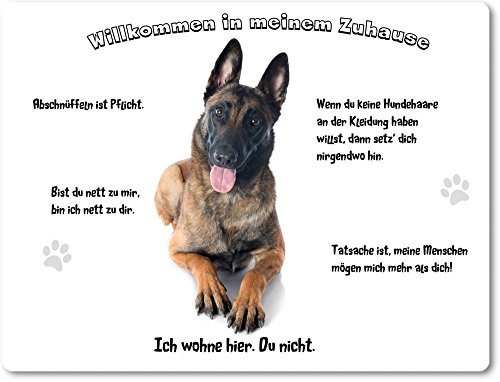 Merchandise for Fans Blechschild/Warnschild/Türschild - Aluminium - 30x20cm - - Willkommen in Meinem Zuhause - Motiv: Belgischer Schäferhund Malinois - 07