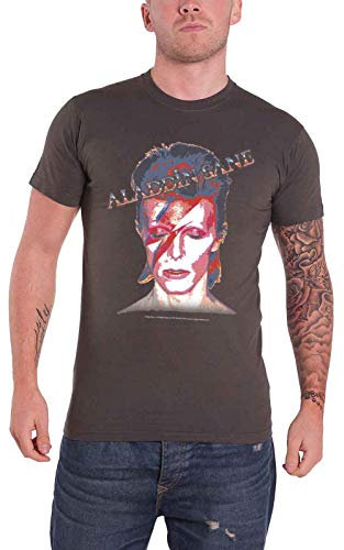 David Bowie T Shirt Aladdin Sane Face Logo offiziell Herren Nue Charcoal Grau L