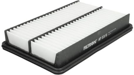 Filtron AP113/6
