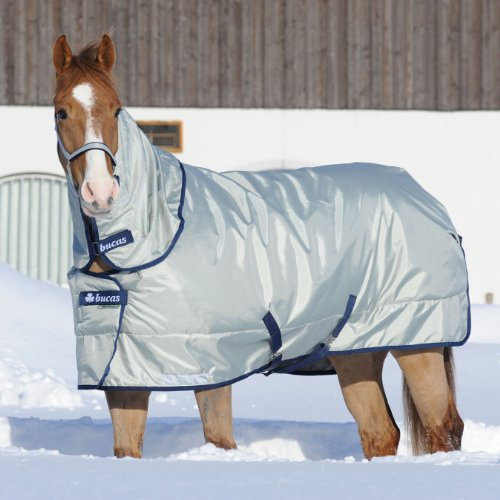 Bucas Power Turnout Extra Classic 145 Silver
