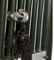 WALDHAUSEN Spezialhalter, Metall, grau