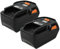 vhbw 2X Batteries Compatible avec AEG BEX18-125-0, BBH18 Li-302C, BBH18-0, BEX18-125, BBH 18 Li-402C Outil électrique (3000 mAh, Li-ION, 18 V)