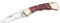 Buck Taschenmesser, Ranger Finger Grooved, mit Namensgravur