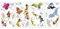 Disney Fairies Wandtattoos mit Glitter