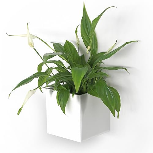 KalaMitica - Cubo Magnetico Porta Oggetti e Porta Vasi, Contenitore Organizer per Lavagna Magnetica da Parete, Frigo e Superfici Metalliche - 9,5 x 9,5 x 9,8 cm - Bianco