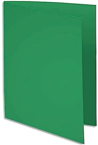 EXACOMPTA Paquet de 100 sous-chemises Rock's en carte 80 g, coloris vert sapin