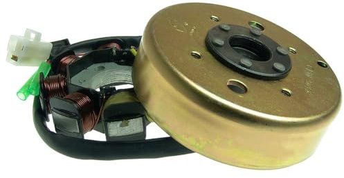 2EXTREME Lichtmaschine für BAOTIAN BT49QT-10, BT49QT-11, BT49QT-12, BT49QT-20