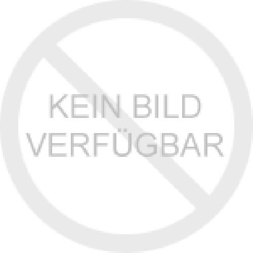 Albert Leuchten Ersatzglas G96 90210096