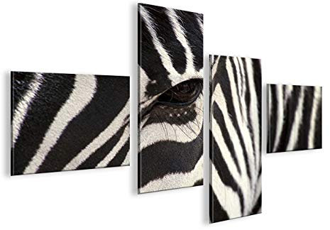 islandburner Bild Bilder auf Leinwand Zebra V2-4L XXL Poster Leinwandbild Wandbild Dekoartikel Wohnzimmer Marke