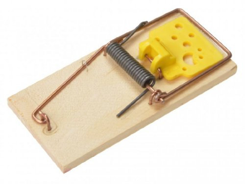 Decco Ltd REN0150 Wooden Mouse Trap, Clear, One Size
